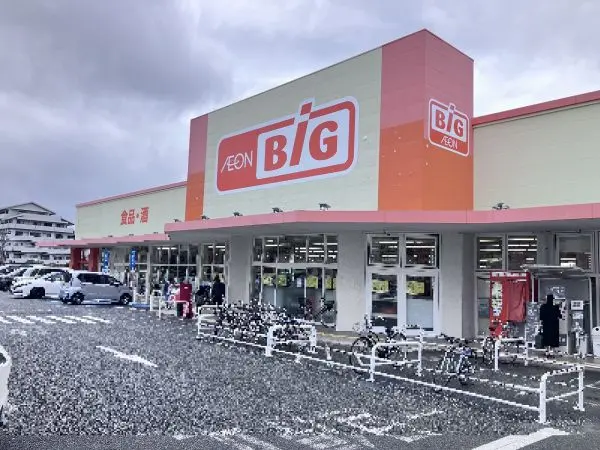 ザ・ビッグ久留米すわの店