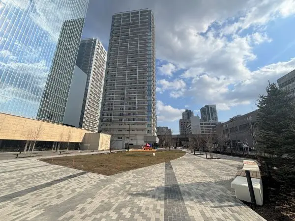 マンション裏には公園が設置されます！