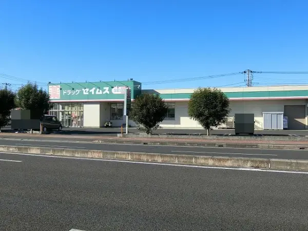 ドラッグセイムス越谷西大袋店
