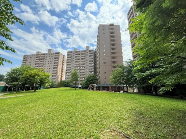 緑豊かな団地です！