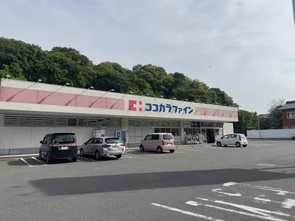 ココカラファイン南知多店