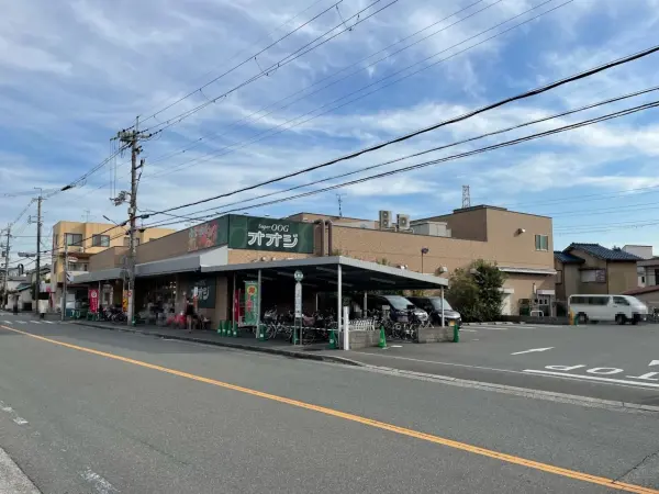 スーパーオオジ 安堂寺店まで徒歩11分(約850m)