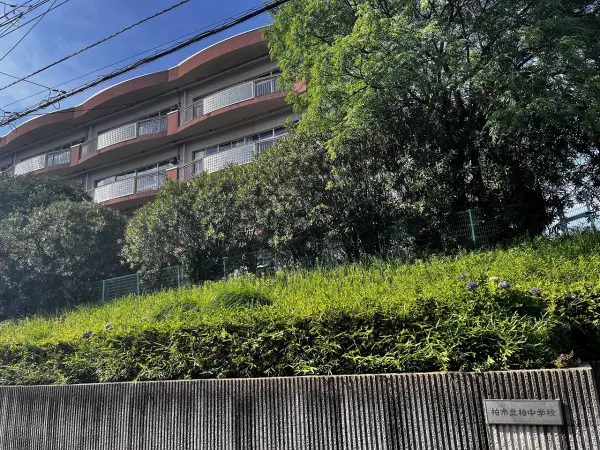 柏中学校