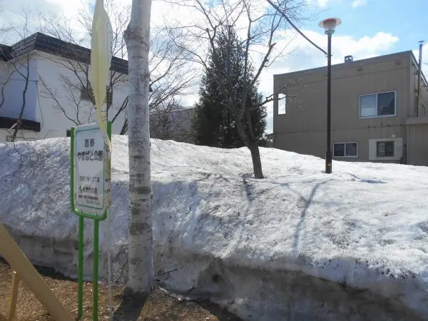 近隣公園になります