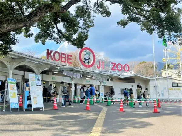六甲山麓に広がる自然豊かな動物園です。約130種750点の動物たちと出会えます。