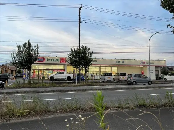 ドラッグセイムス木更津請西南店
