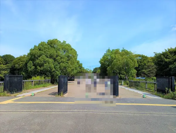 国営昭和記念公園