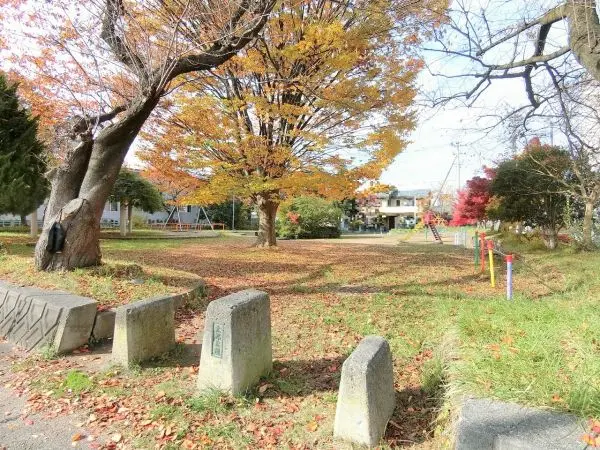 緑豊かな公園です