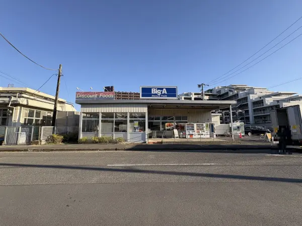 ビッグ・エー 千葉真砂店