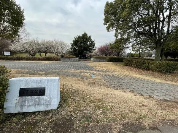 徒歩12分。走り回れる、大きなグラウンドが魅力の公園です。