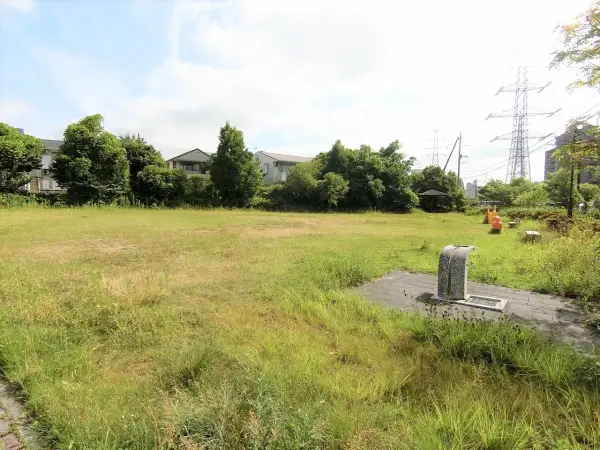 緑豊かな公園