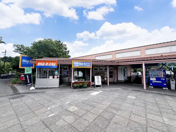 ビッグ・エー 多摩聖ヶ丘店