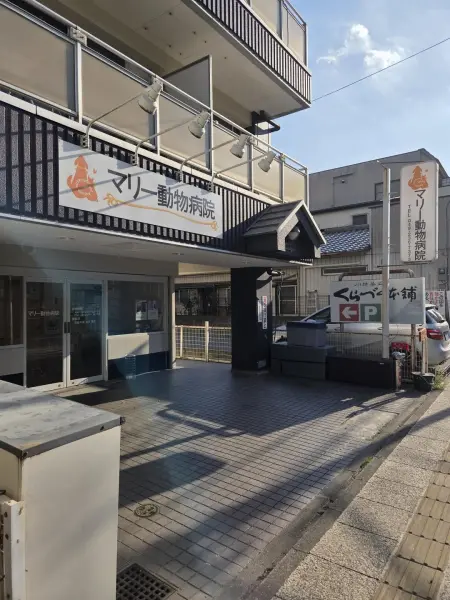 徒歩10分／ペット可のマンションですので近くに動物病院が有るのは心づよいですね。