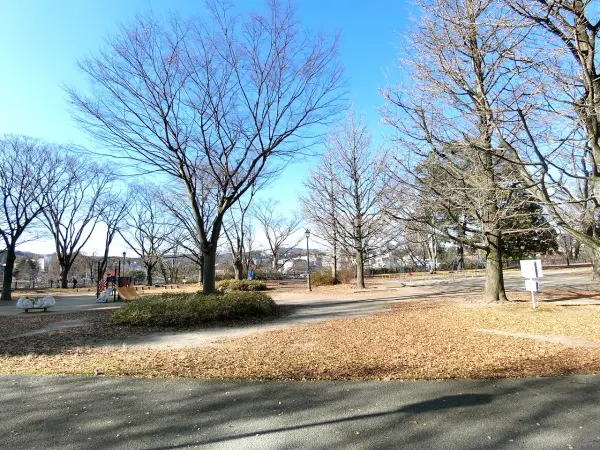 桜の名所として名高い公園