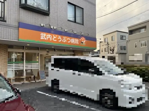 徒歩1分／ペットを飼う予定のあるかたも行きやすい距離にあるペットクリニックです。