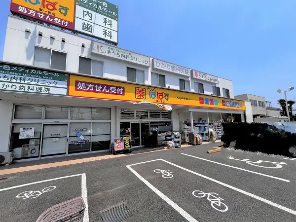 どらっぐぱぱす　本一色店