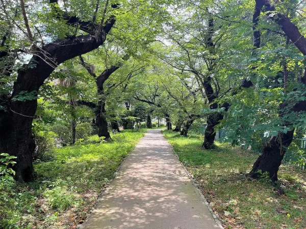徒歩10分