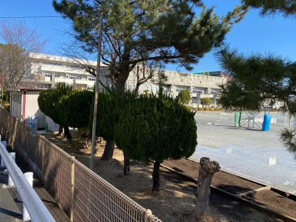 徒歩8分／学校教育目標は//かしこく たくましく 心豊かな児童の育成//です。