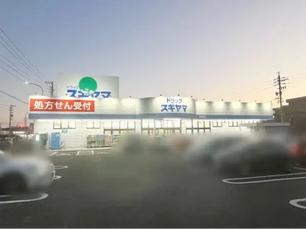 ドラッグスギヤマ印場店・・・車約5分
