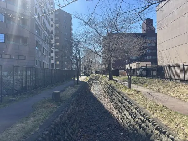 マンションの裏側には川が流れており、春は桜が鑑賞できます！