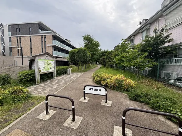 緑道