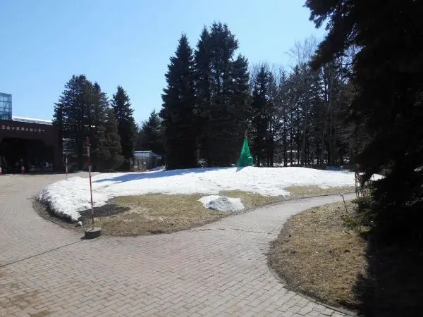 大型公園