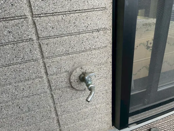 外蛇口