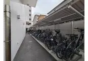 ラックで整理された屋根付きの駐輪場。※最新の空き状況はご確認下さい。