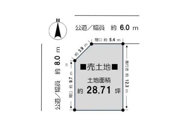 住吉区清水丘３丁目　売土地