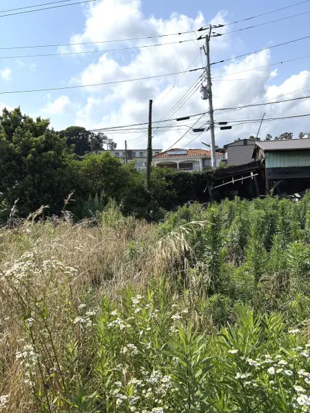 横須賀市津久井1丁目　土地