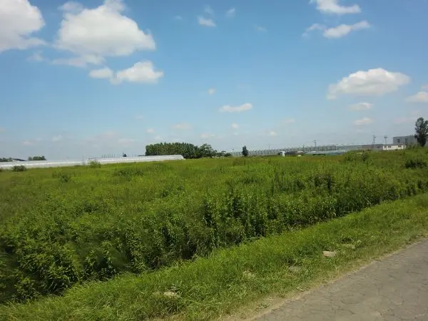 丘珠町844