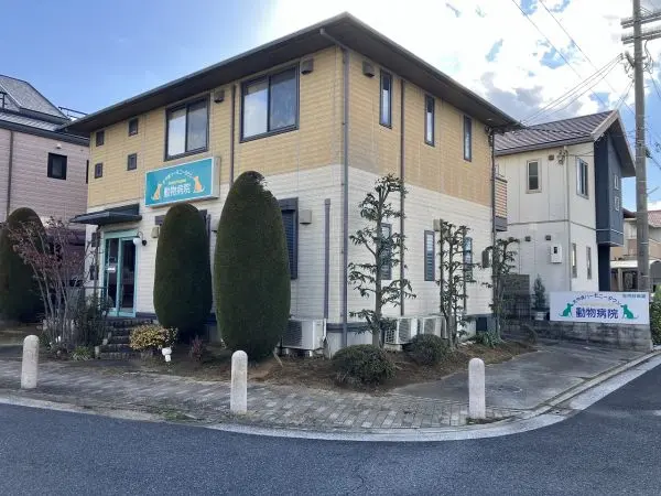 堺市東区南野田店舗付住宅