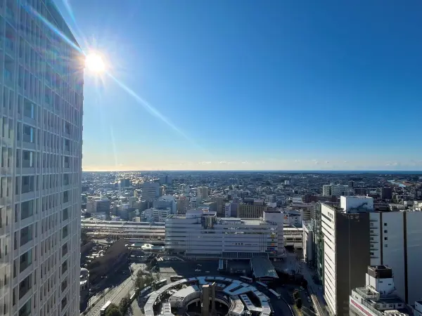 Ds Tower