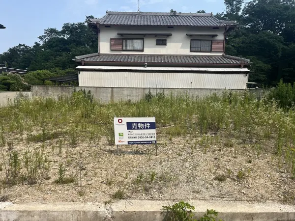 現地写真
