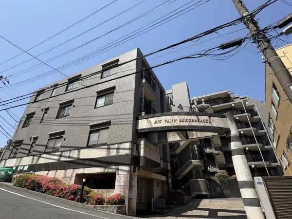 ビッグヴァン桜ヶ丘
