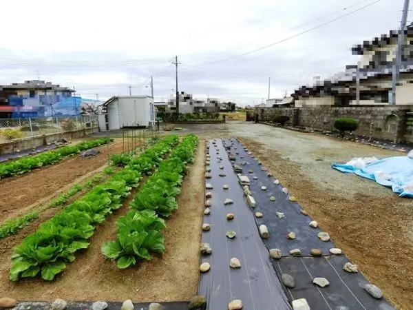 亘理郡亘理町吉田字流・売土地