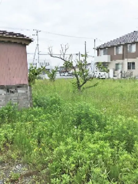 石巻市門脇字元蒲屋敷・売土地