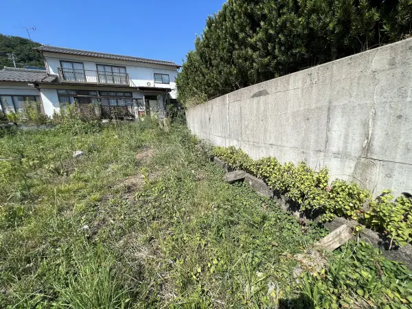 綾部市味方町龍仏