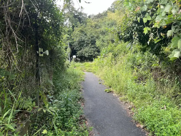 亀岡市薭田野町佐伯下峠