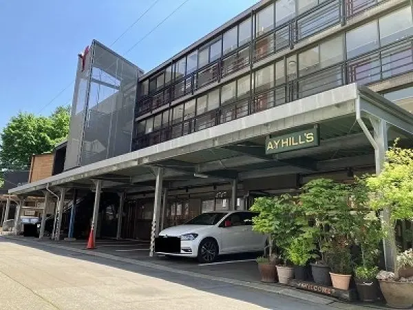 A.Y HILLS