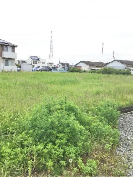 石巻市門脇字元蒲屋敷・売土地
