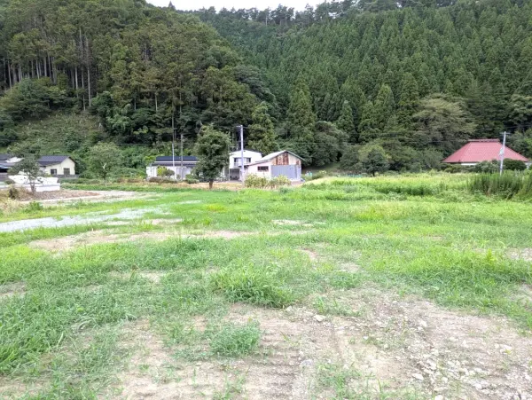 現地土地写真