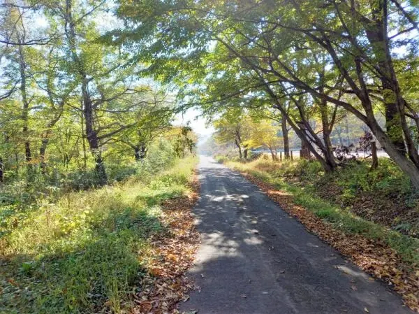 遠刈田温泉字七日原