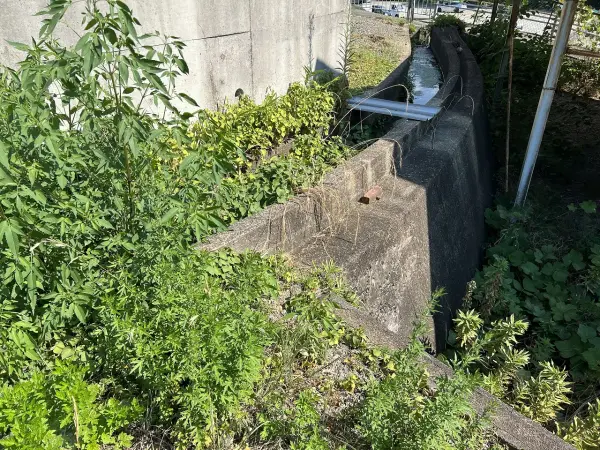 綾部市味方町龍仏