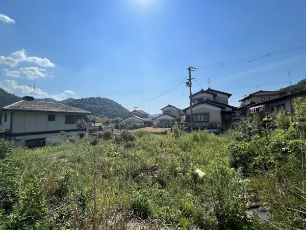 綾部市味方町龍仏