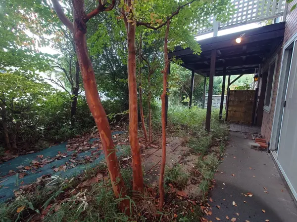 千葉市中央区星久喜　中古戸建