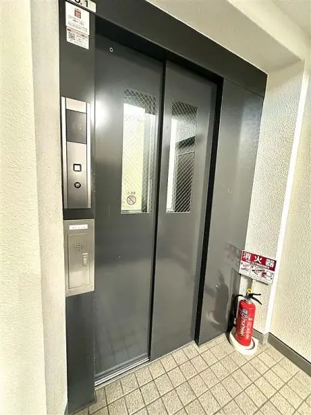 エスセーナ菊水