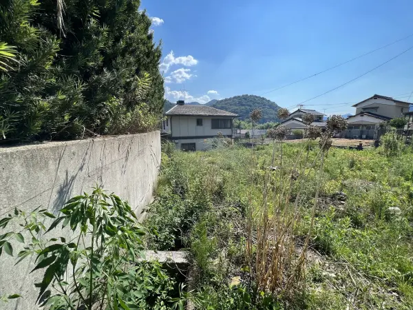 綾部市味方町龍仏