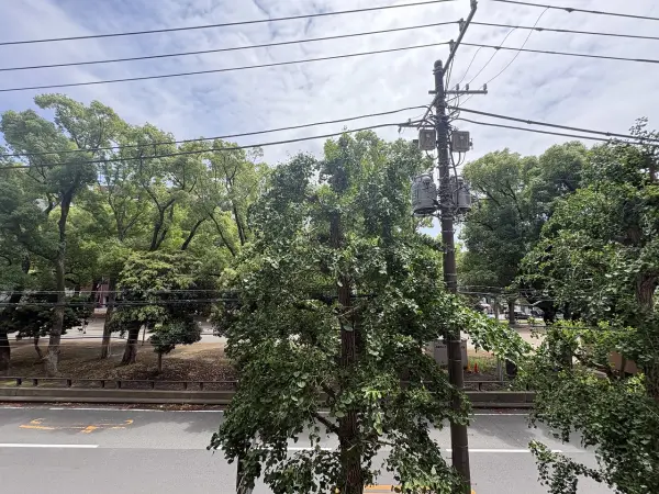 マイキャッスル横濱大通り公園