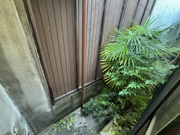 コンパクトな庭ながら、プランターや鉢植えで手軽にガーデニングが楽しめ、季節の彩りを感じられます。